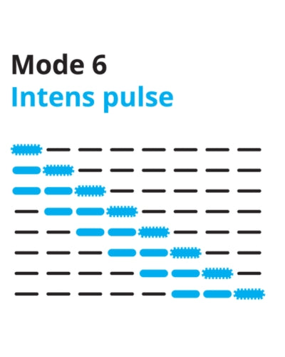 Program Image